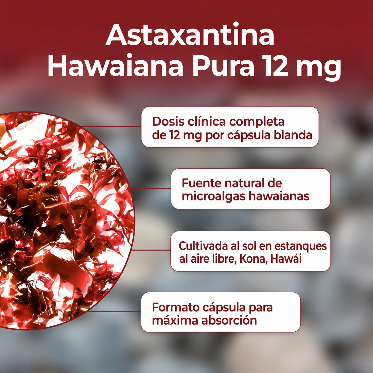 Astaxantina – Combate de forma natural el estrés oxidativo para restaurar el equilibrio por dentro y por fuera.