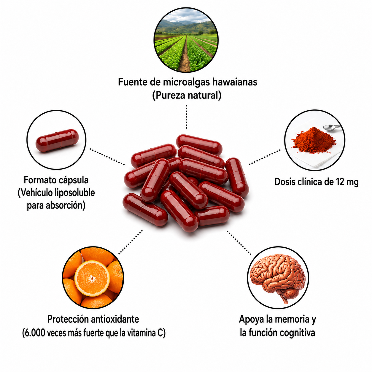 Astaxantina – Combate de forma natural el estrés oxidativo para restaurar el equilibrio por dentro y por fuera.