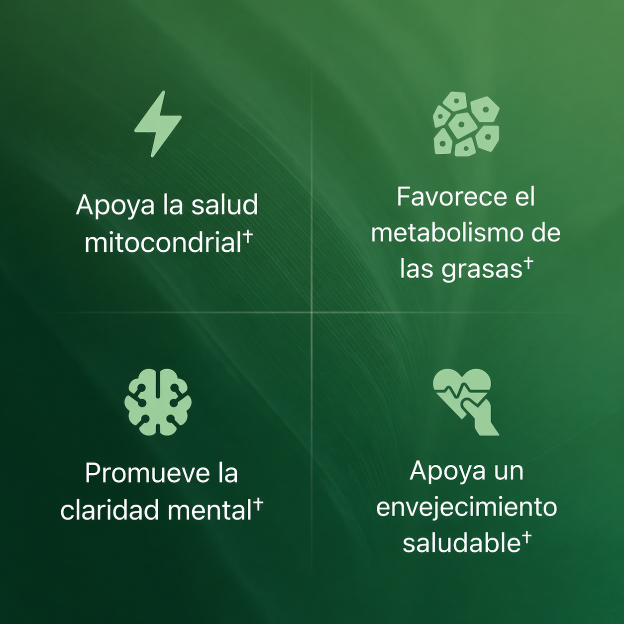 Cápsulas de Superfruta Amla