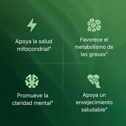 Cápsulas de Superfruta Amla