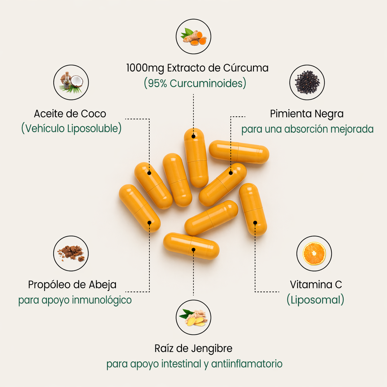 Cápsulas de Cúrcuma (Curcumina)
