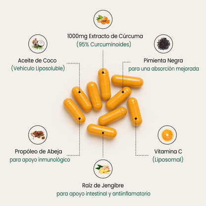 Cápsulas de Cúrcuma (Curcumina)