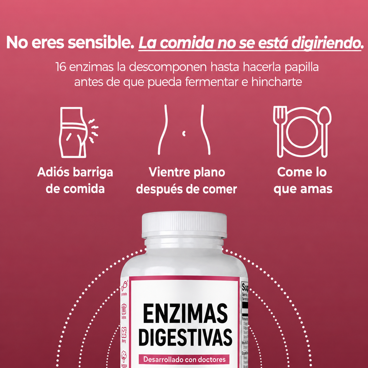 Enzimas Digestivas