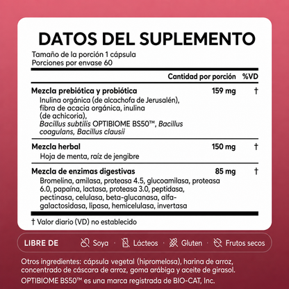 Enzimas Digestivas