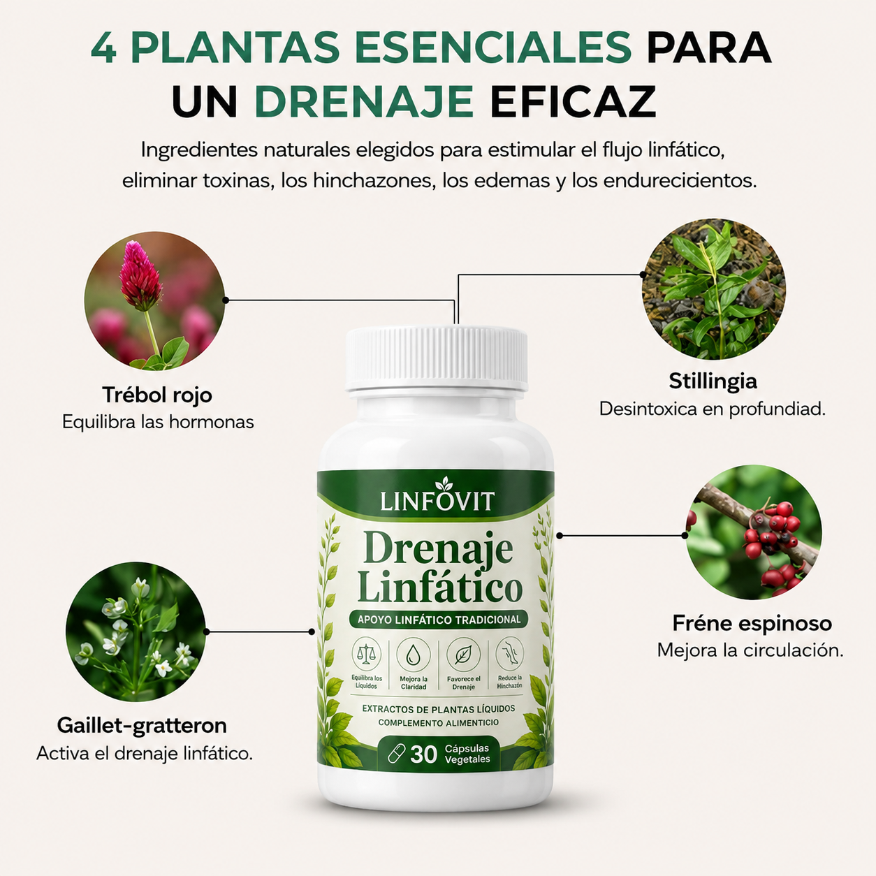 Linfovit™ | Drenaje Linfático Para Hombres 🍻 Hoy Oferta Especial 1+1 🎁