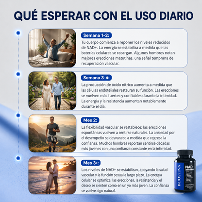 Complejo de NAD+ Liposomal