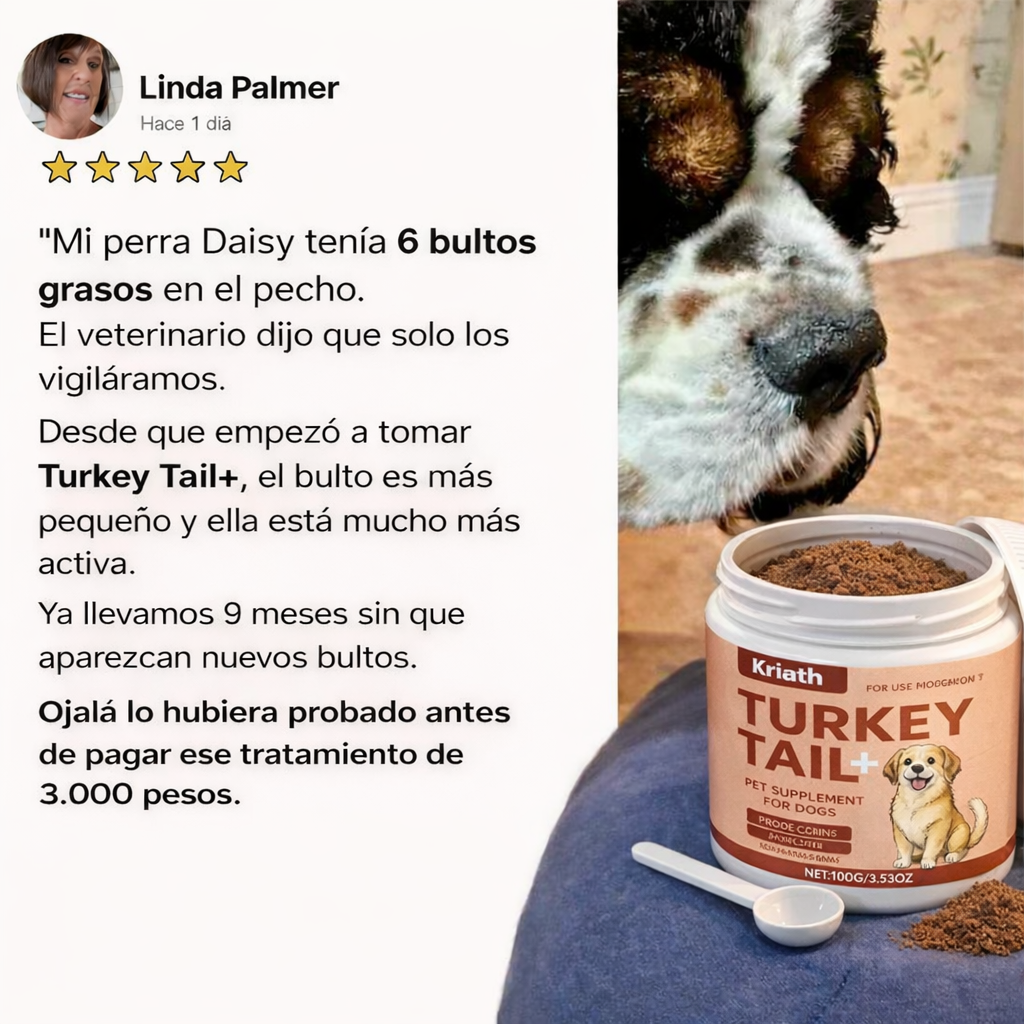 Fórmula TurkeyTail+ Probióticos™