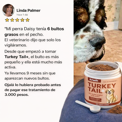 Fórmula TurkeyTail+ Probióticos™