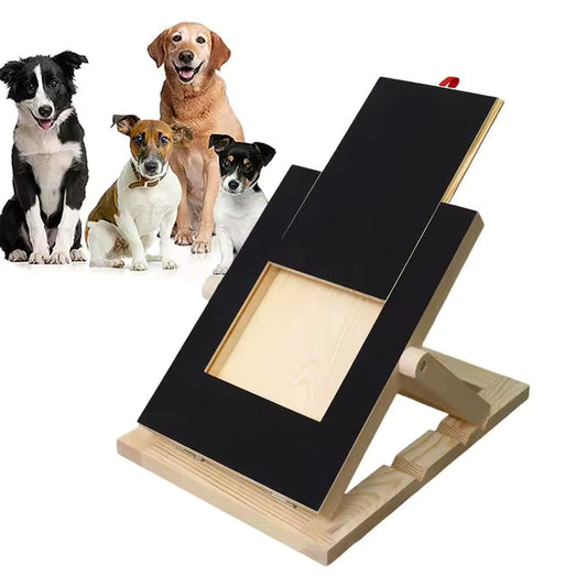 ScratchPad™ | Juega y lima. Así de simple. 🐾