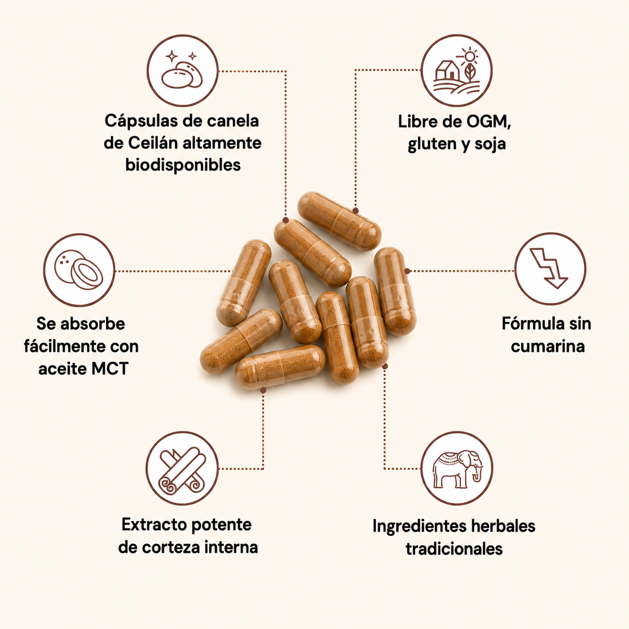 Canela de Ceilán 7200 mg equivalente con aceite MCT