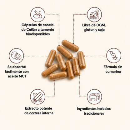 Canela de Ceilán 7200 mg equivalente con aceite MCT