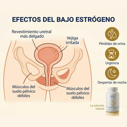 Recuperá el Control de Tu Vejiga — Fórmula Natural Sin Hormonas